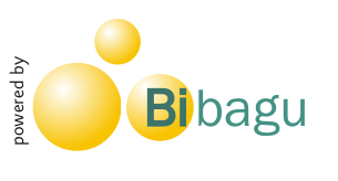 Bibagu consultores
